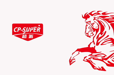 超派胶业包装设计